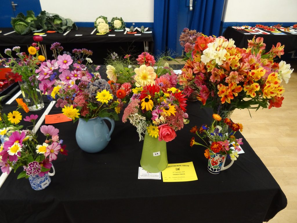 Show Class Results 2025 1 13Sep2025 54